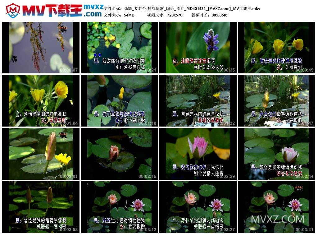 孙辉_蓝若兮-粉红情歌_国语_流行_MD401431